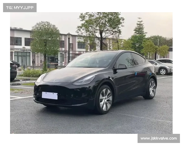 Model Y 首付4.59万起,就能买新款特斯拉Model Y?还有3年0息? Model Y 首付4.59万起,就能买新款特斯拉Model Y?还有3年0息?