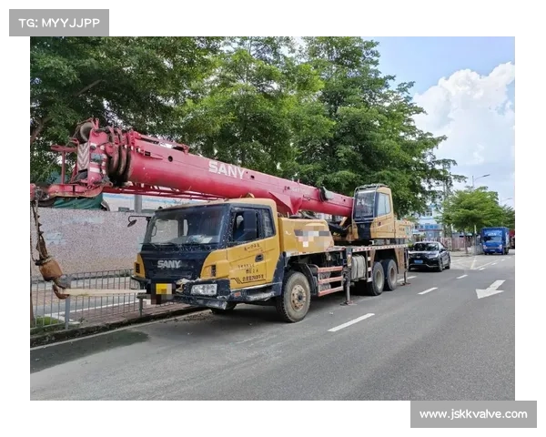 为何我国汽车起重机独大,且没有外资品牌?源自这10年发展 为何我国汽车起重机独大,且没有外资品牌?源自这10年发展