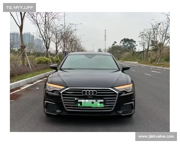 全新奥迪A6登场！0.23风阻+三联屏，4999mm车长叫板奔驰E级