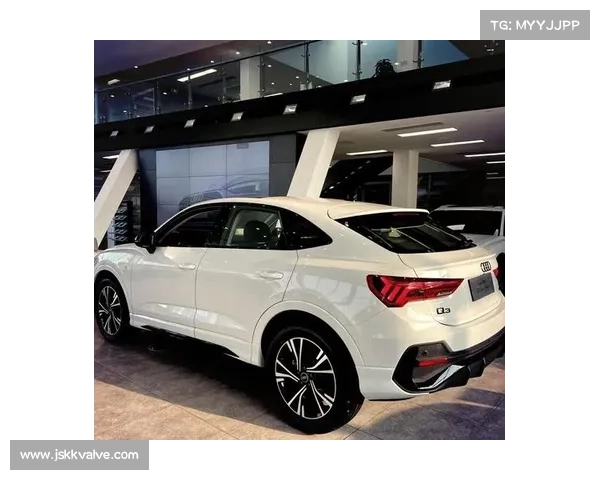 全新换代奥迪Q3，年轻人的时尚座驾